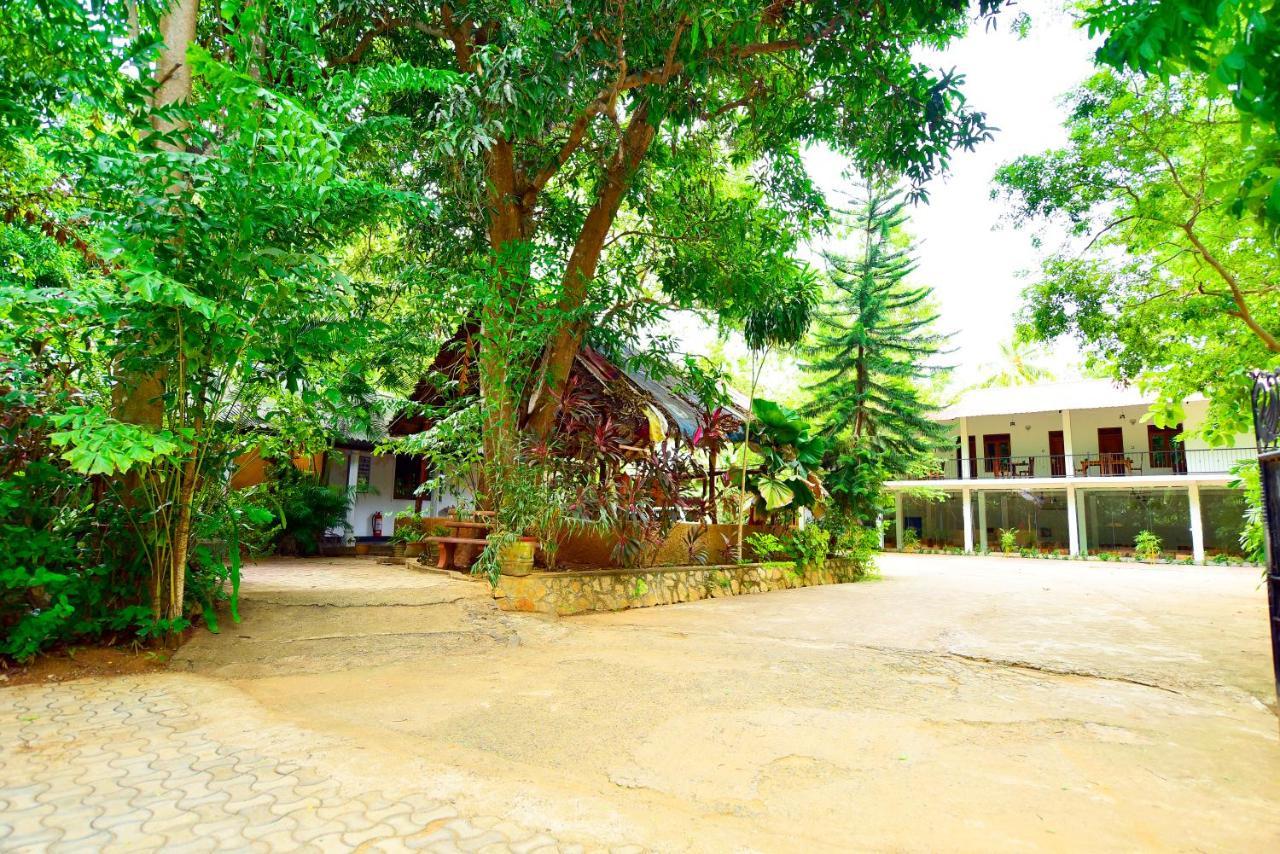 Ariya Rest & Ayurveda Spa โปลอนนารูวา ภายนอก รูปภาพ